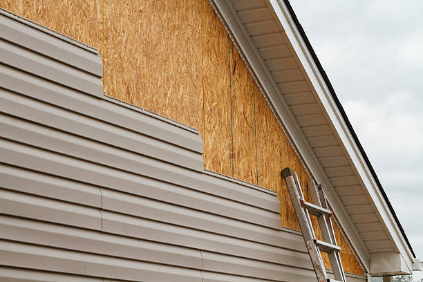 Professional Siding technician working in Tampa, FL